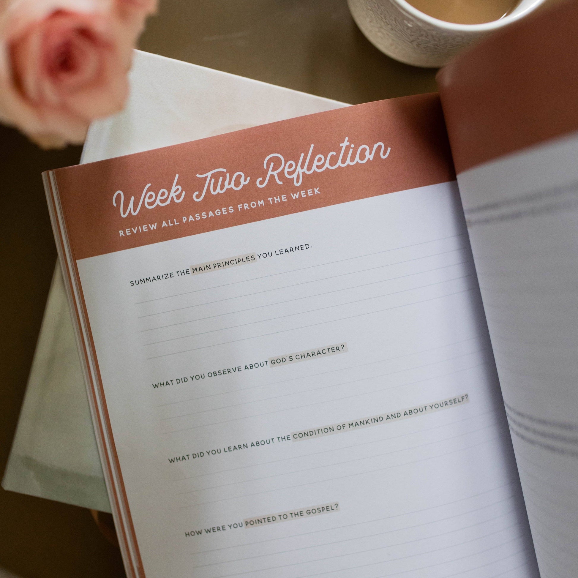 Growing in Grace | Spiritual Disciplines Study The Daily Grace Co