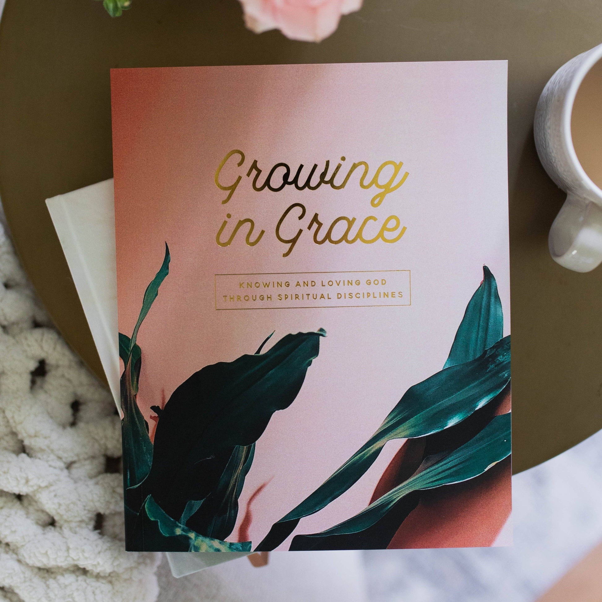 Growing in Grace | Spiritual Disciplines Study The Daily Grace Co
