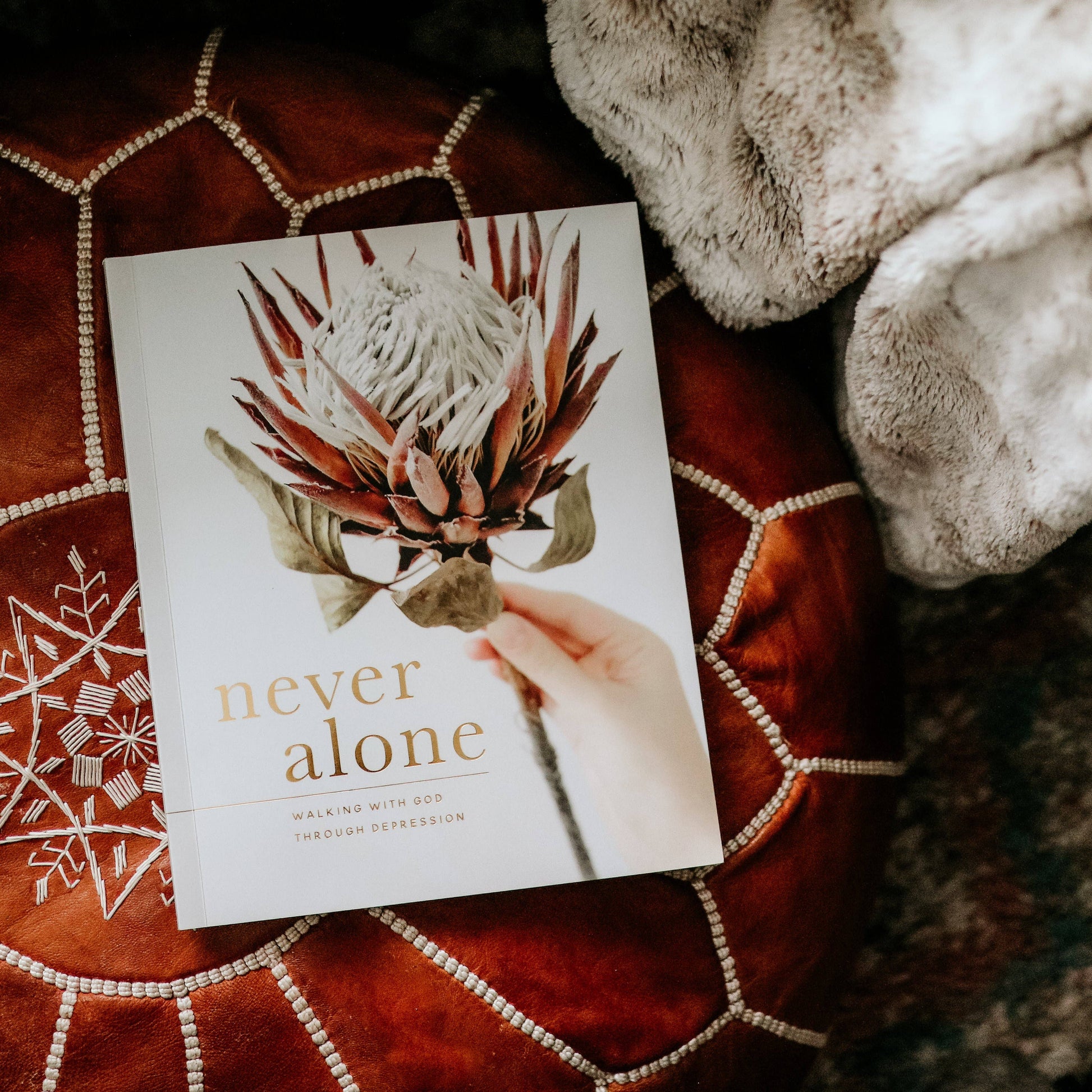 Never Alone | Depression Study The Daily Grace Co