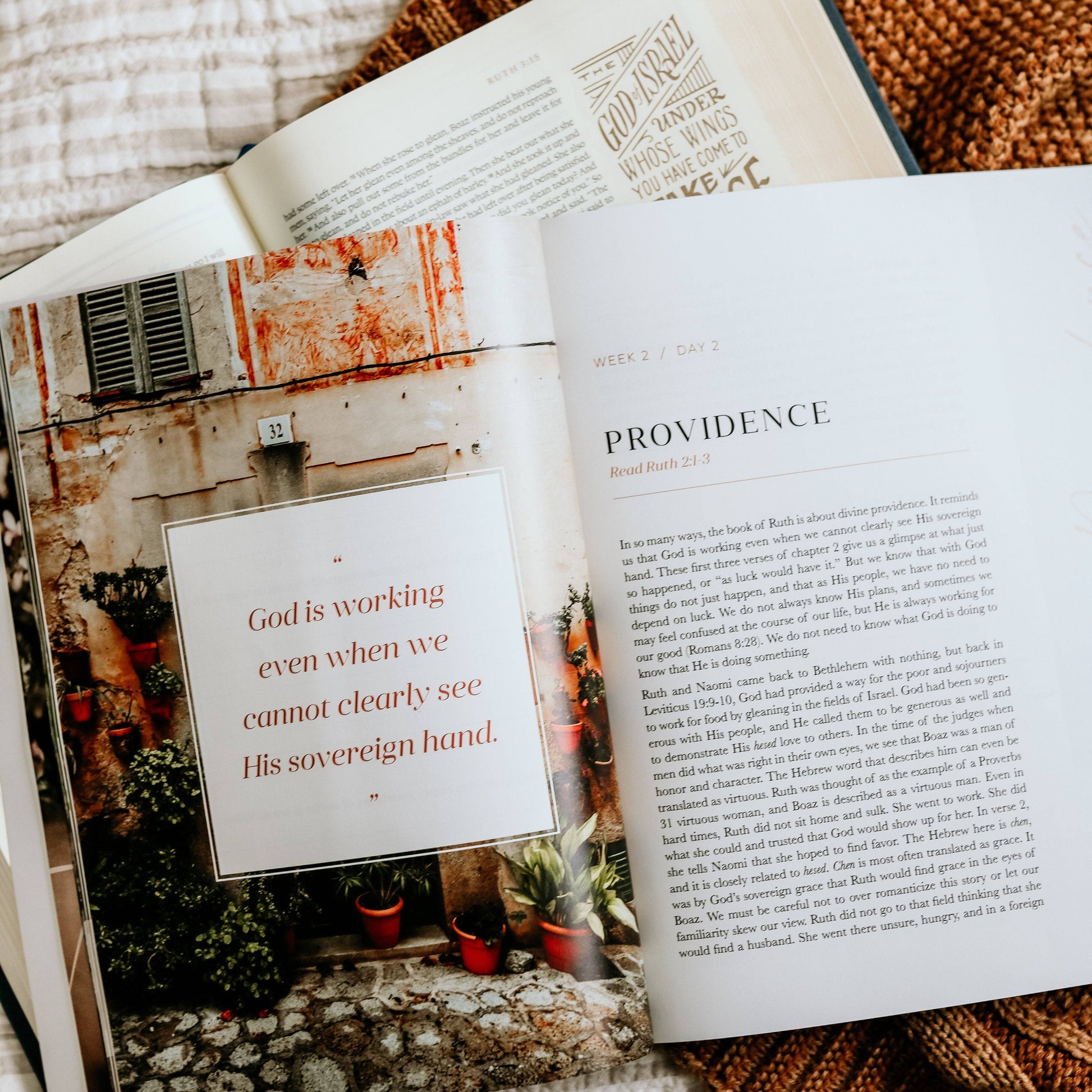 Ruth Study | Fields of Grace The Daily Grace Co