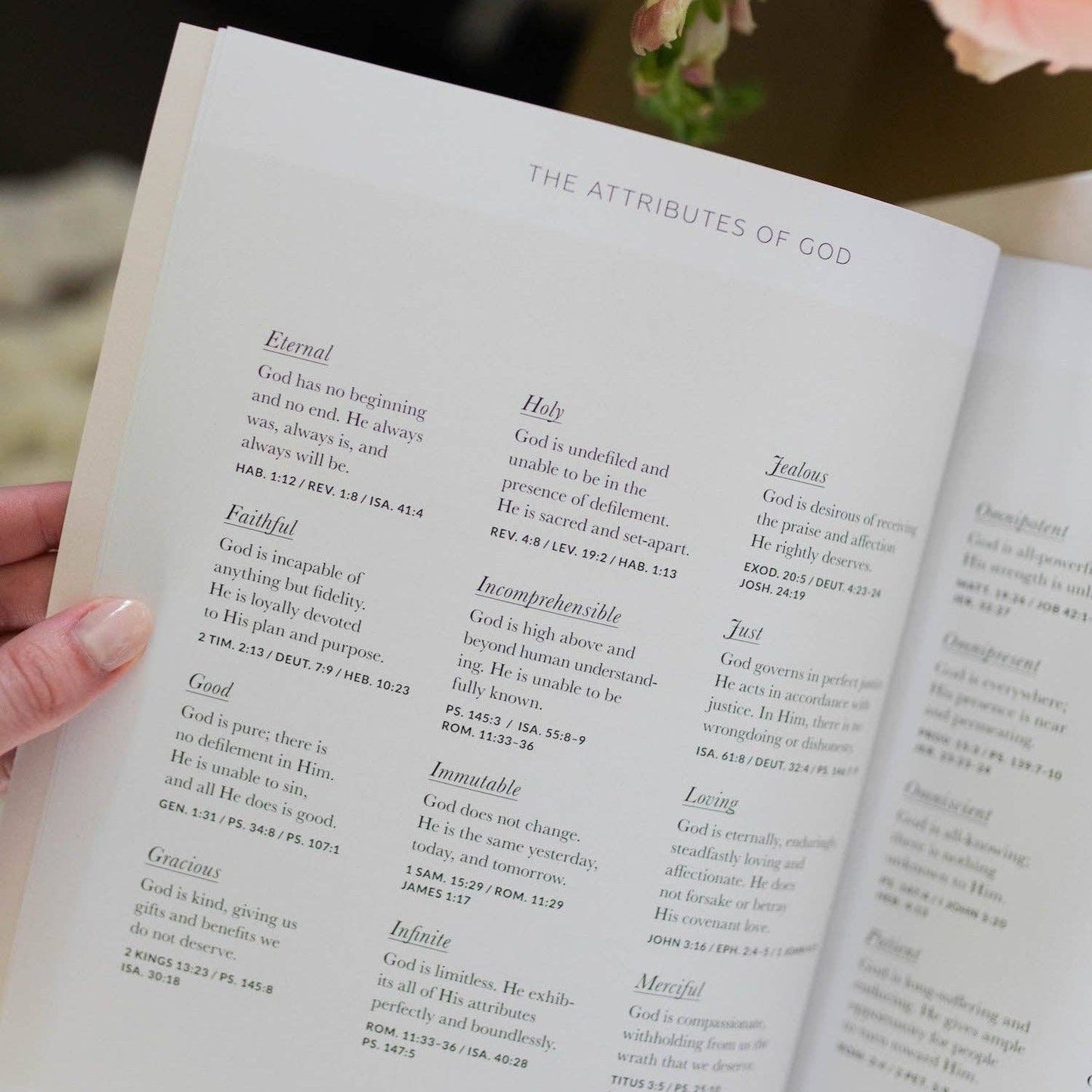 Growing in Grace | Spiritual Disciplines Study The Daily Grace Co