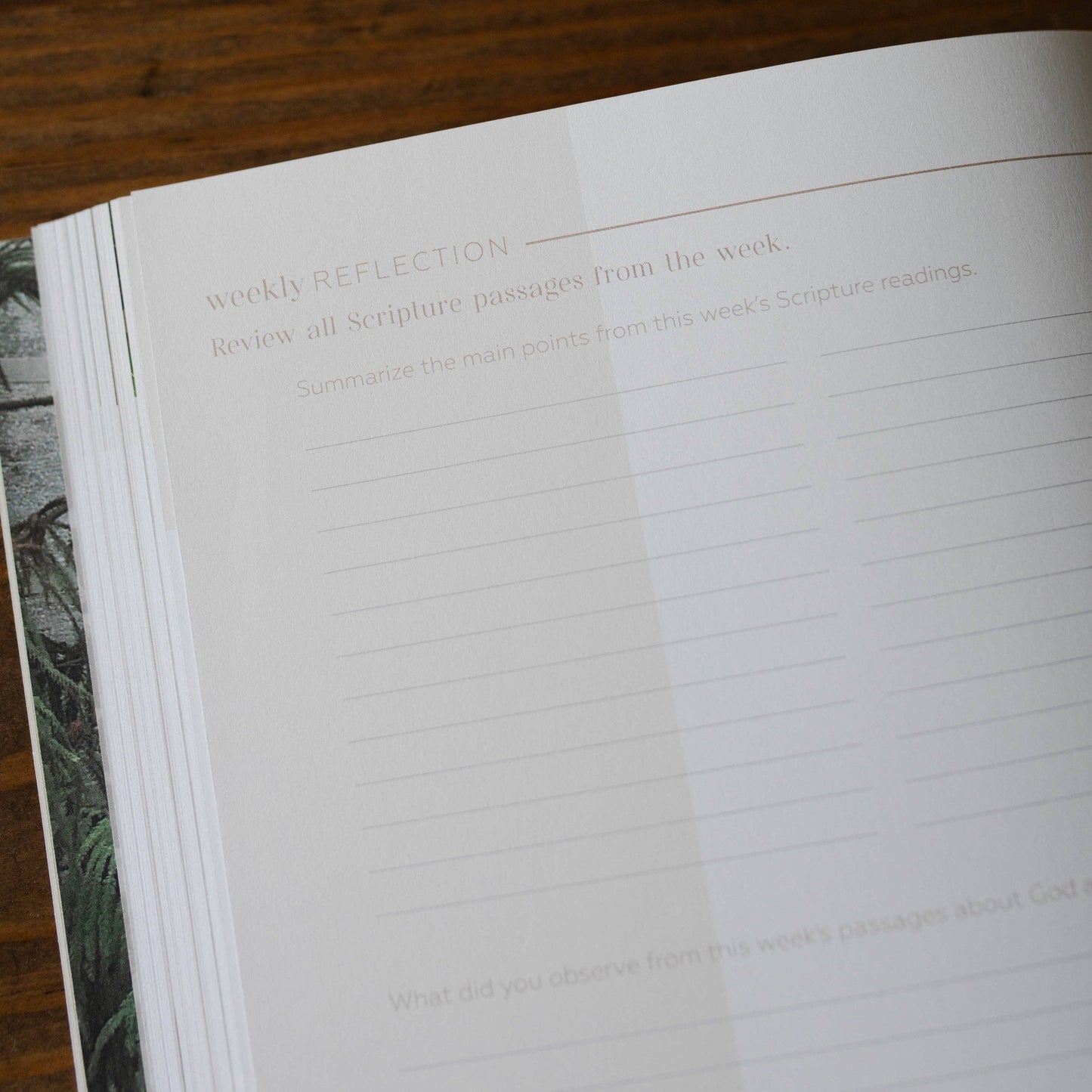 Pray | Cultivating a Passionate Practice of Prayer The Daily Grace Co