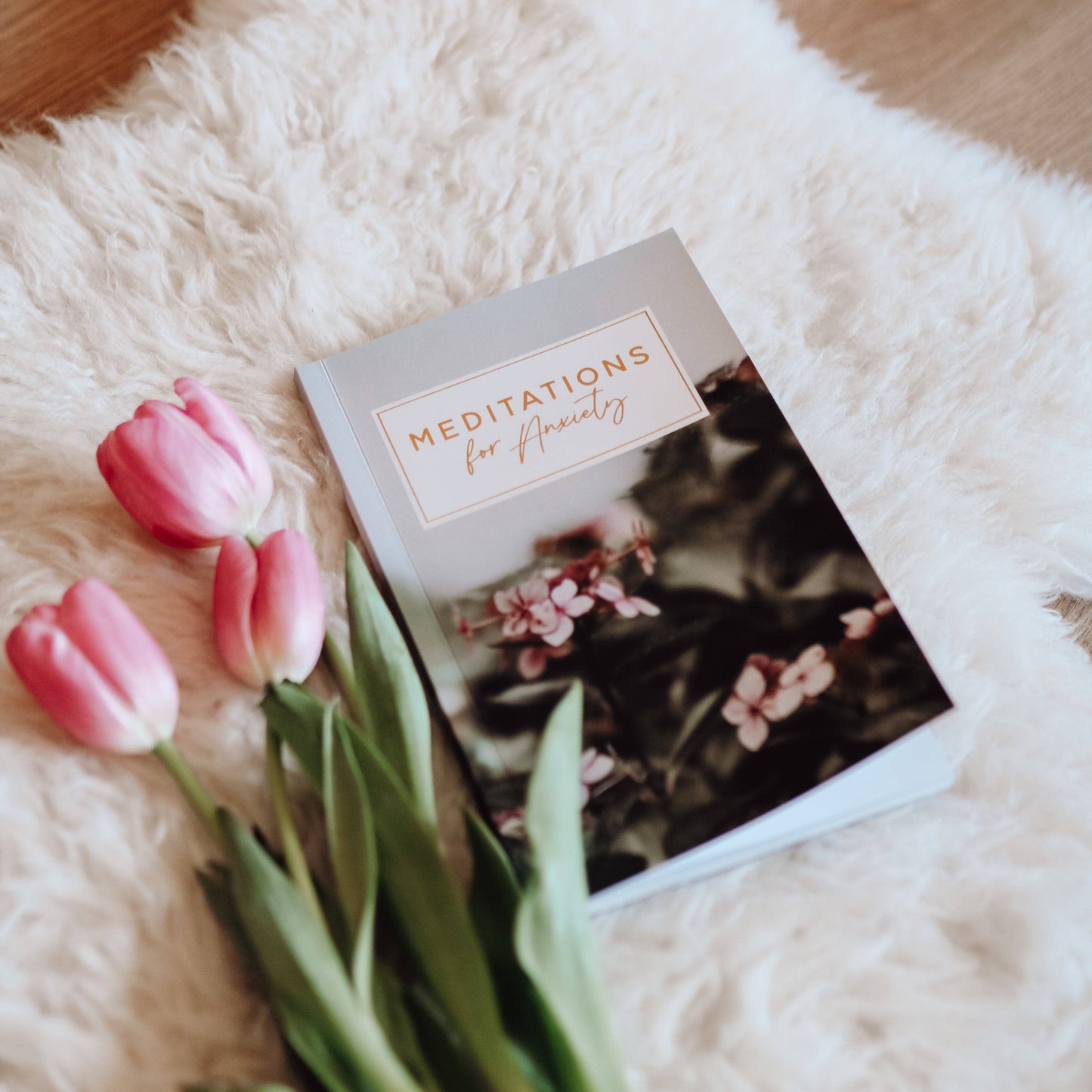 Meditations for Anxiety Booklet The Daily Grace Co