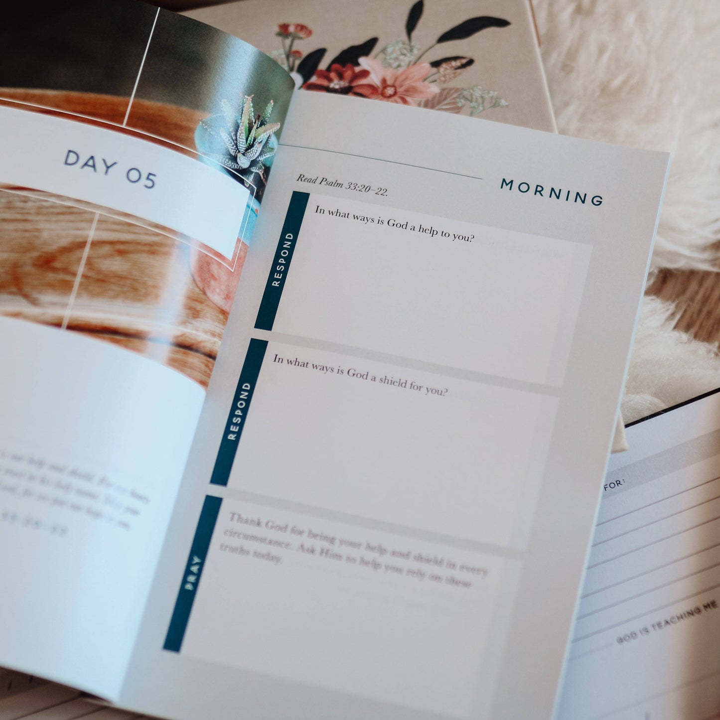 Meditations for Seasons of Waiting Booklet The Daily Grace Co