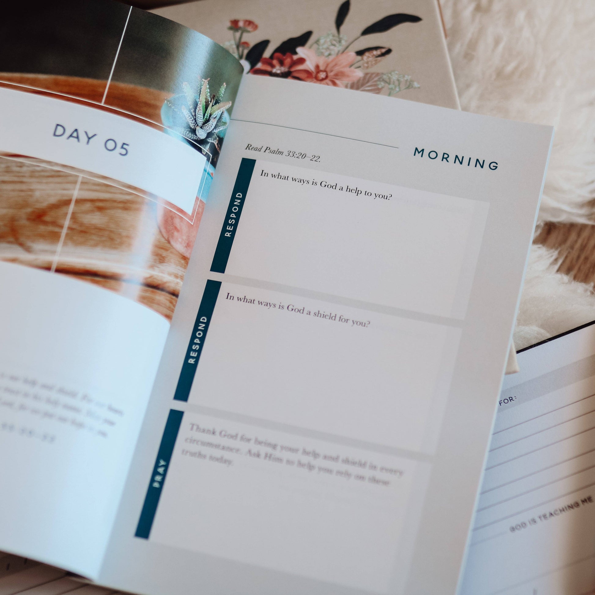 Meditations for Seasons of Waiting Booklet The Daily Grace Co