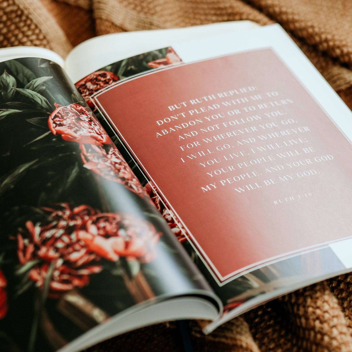 Ruth Study | Fields of Grace The Daily Grace Co