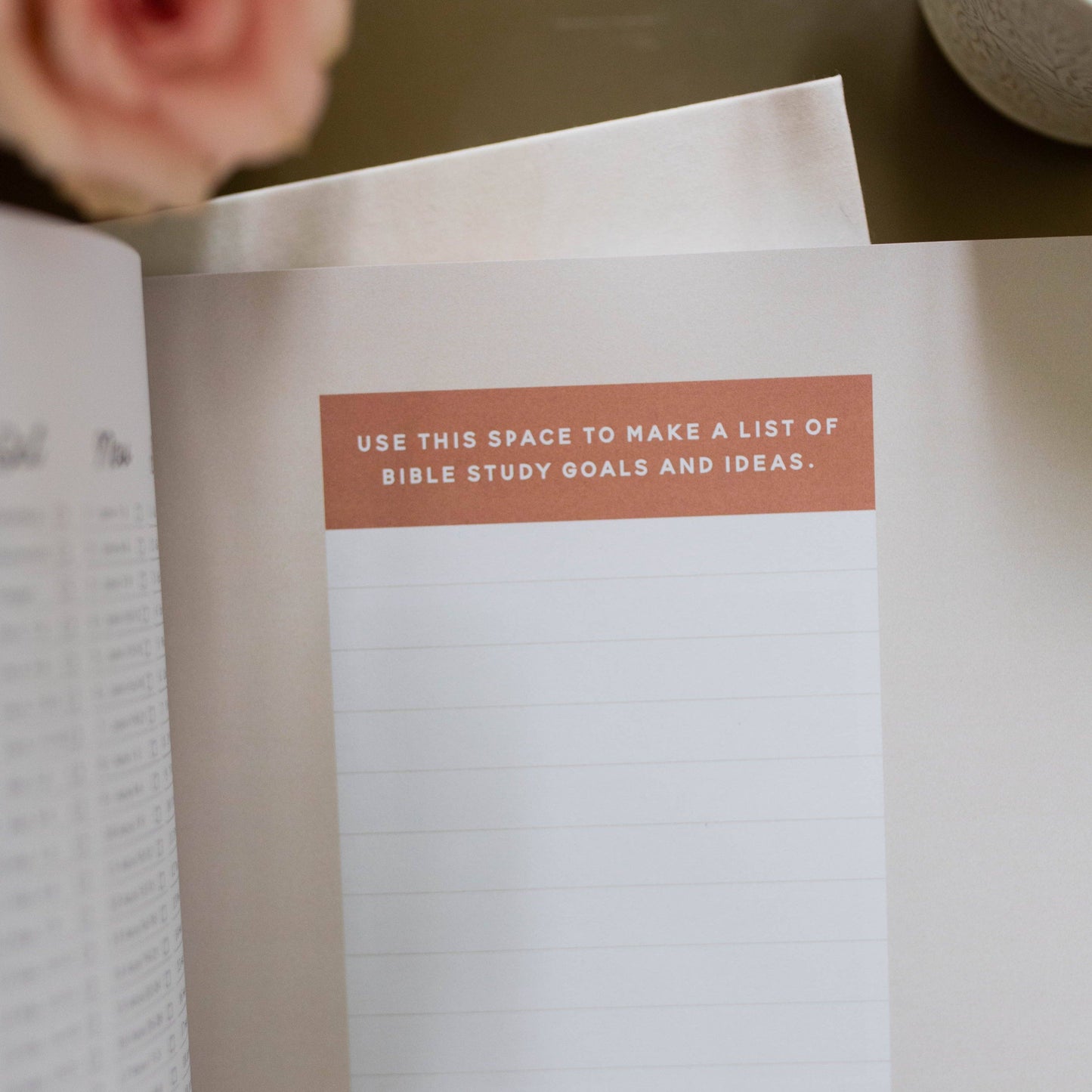 Growing in Grace | Spiritual Disciplines Study The Daily Grace Co