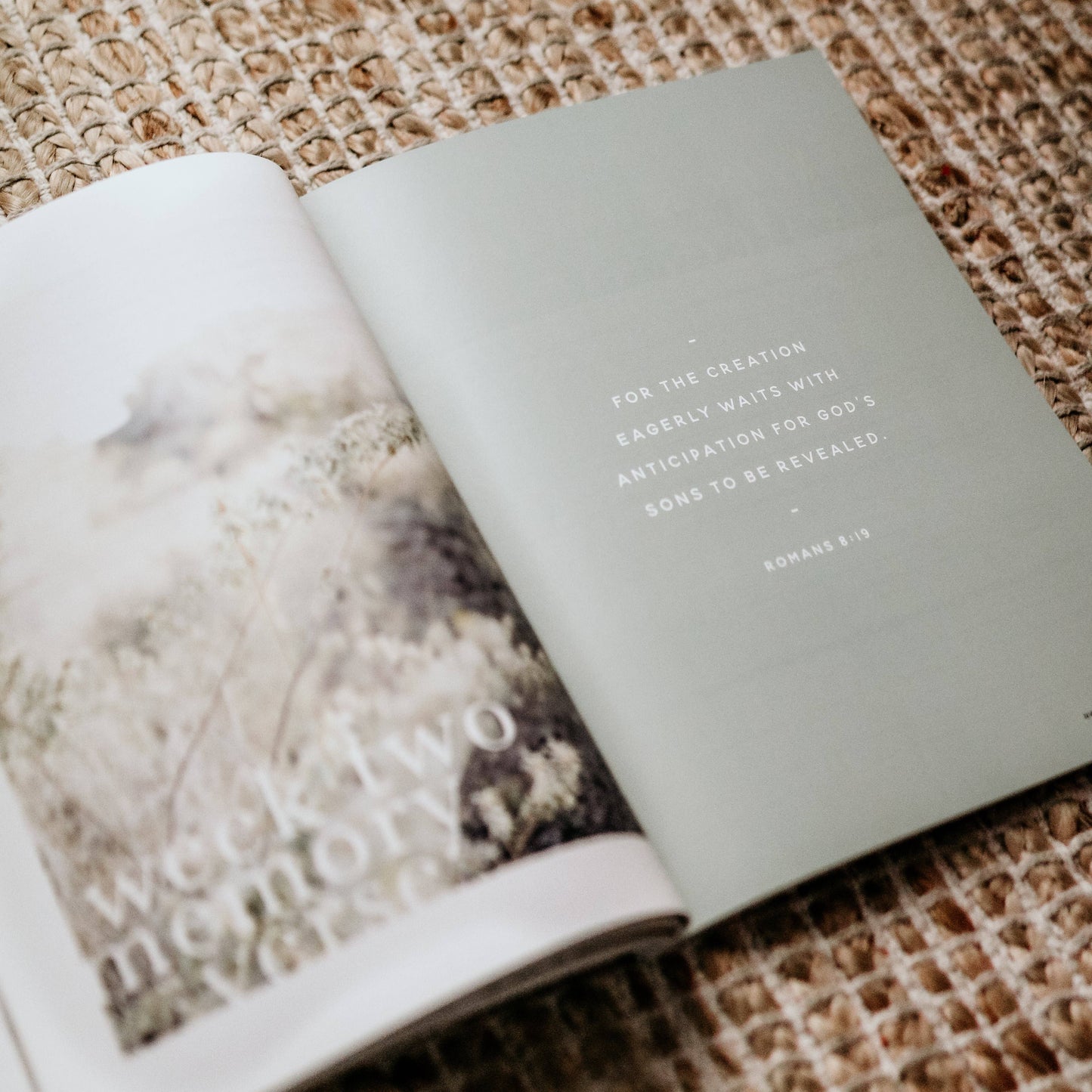 Never Alone | Depression Study The Daily Grace Co