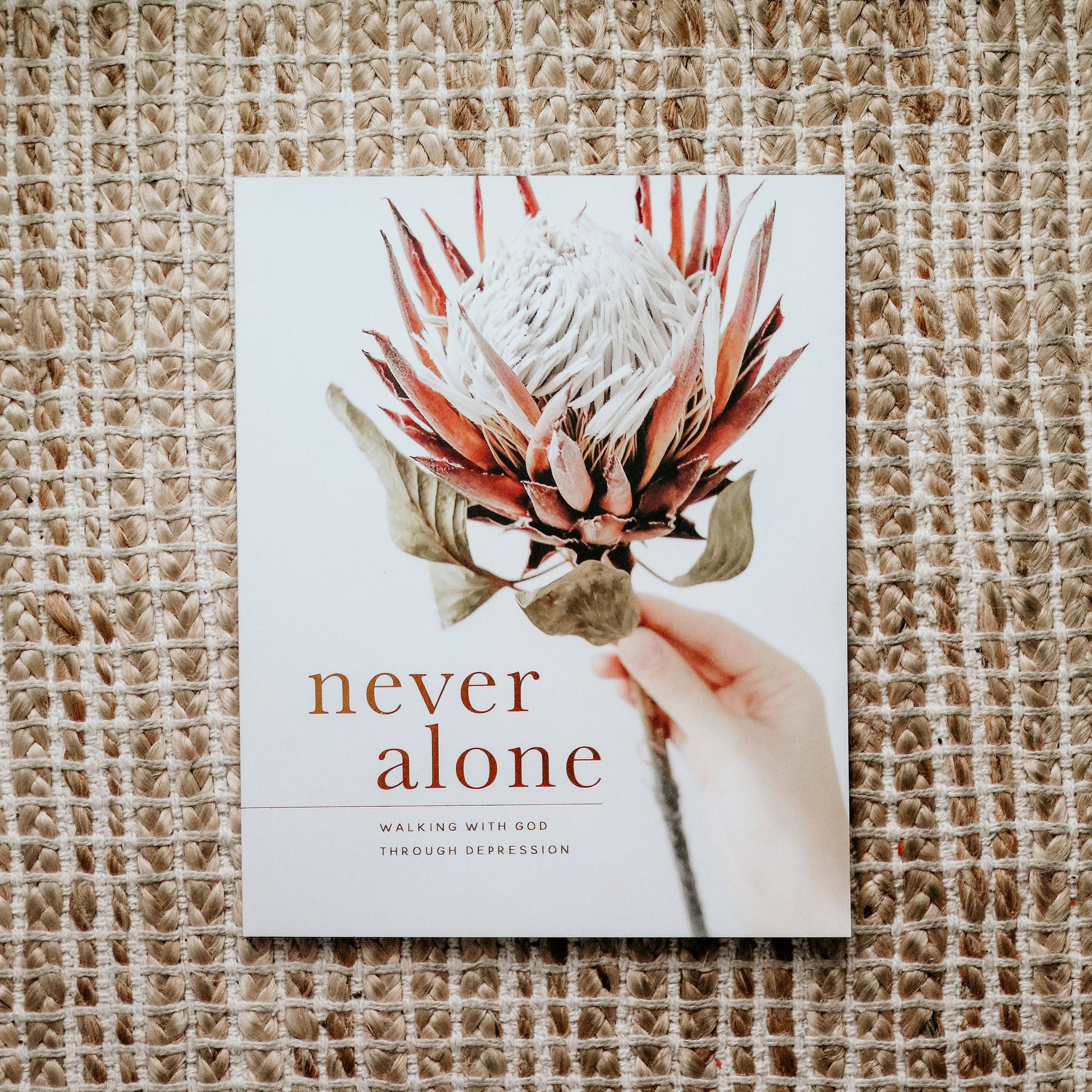Never Alone | Depression Study The Daily Grace Co