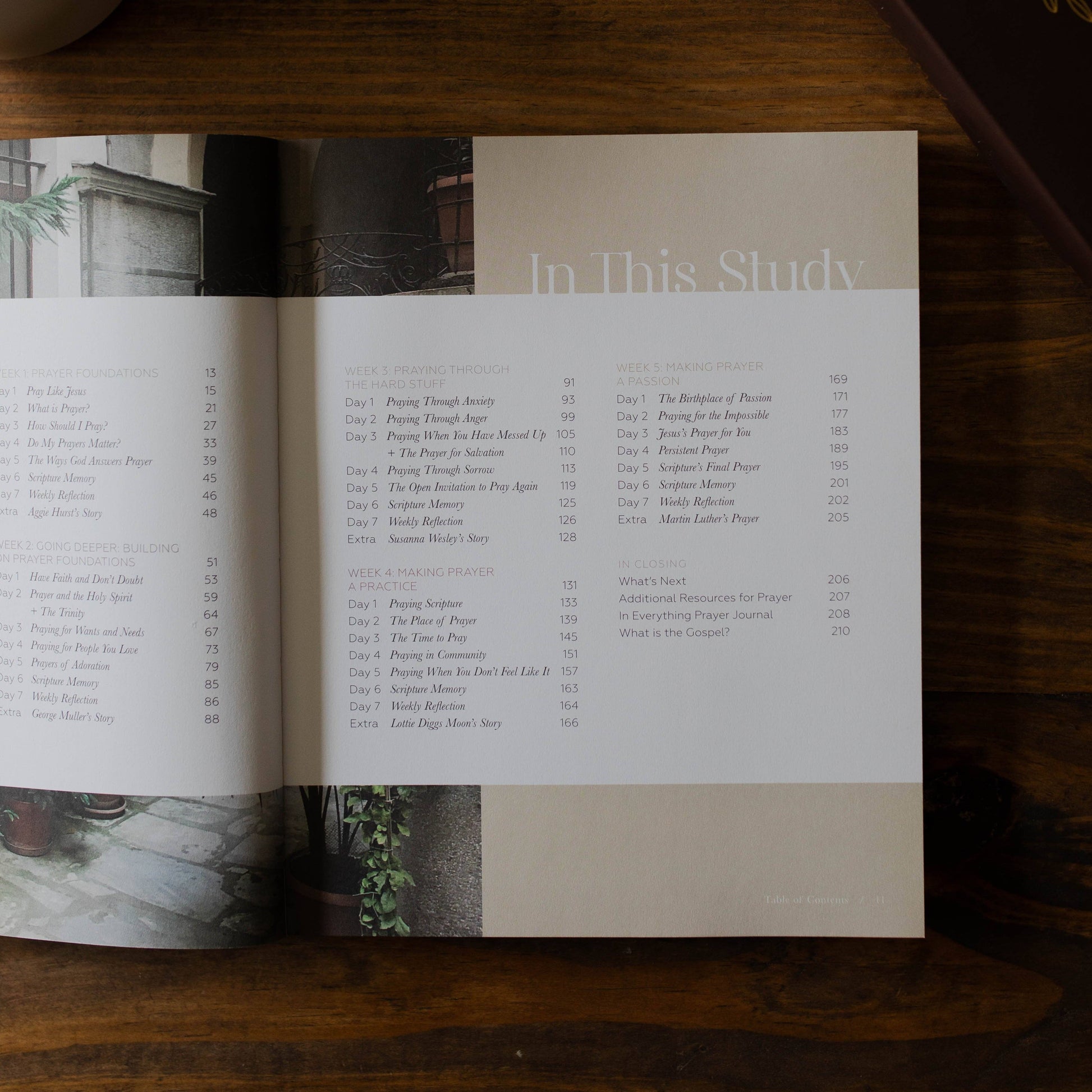 Pray | Cultivating a Passionate Practice of Prayer The Daily Grace Co