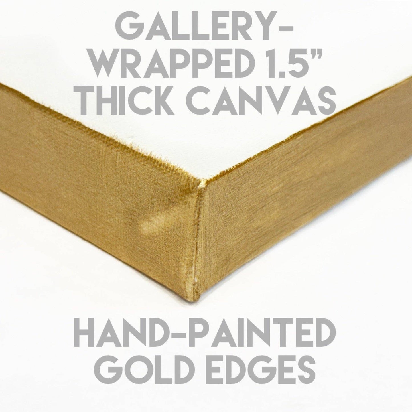 Mushroom Moth Moon Gallery Wrapped Canvas - Fall Nature Art Painting Audra Style