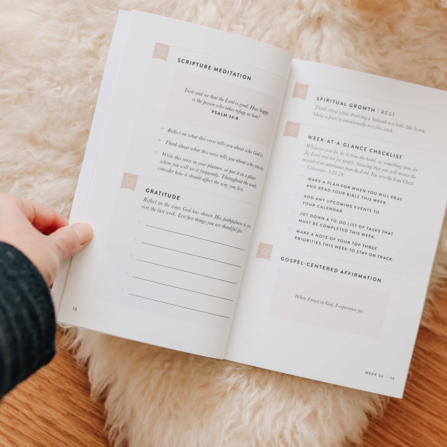 Fix Your Focus | A 52-Week Guide to Help You Put God First The Daily Grace Co