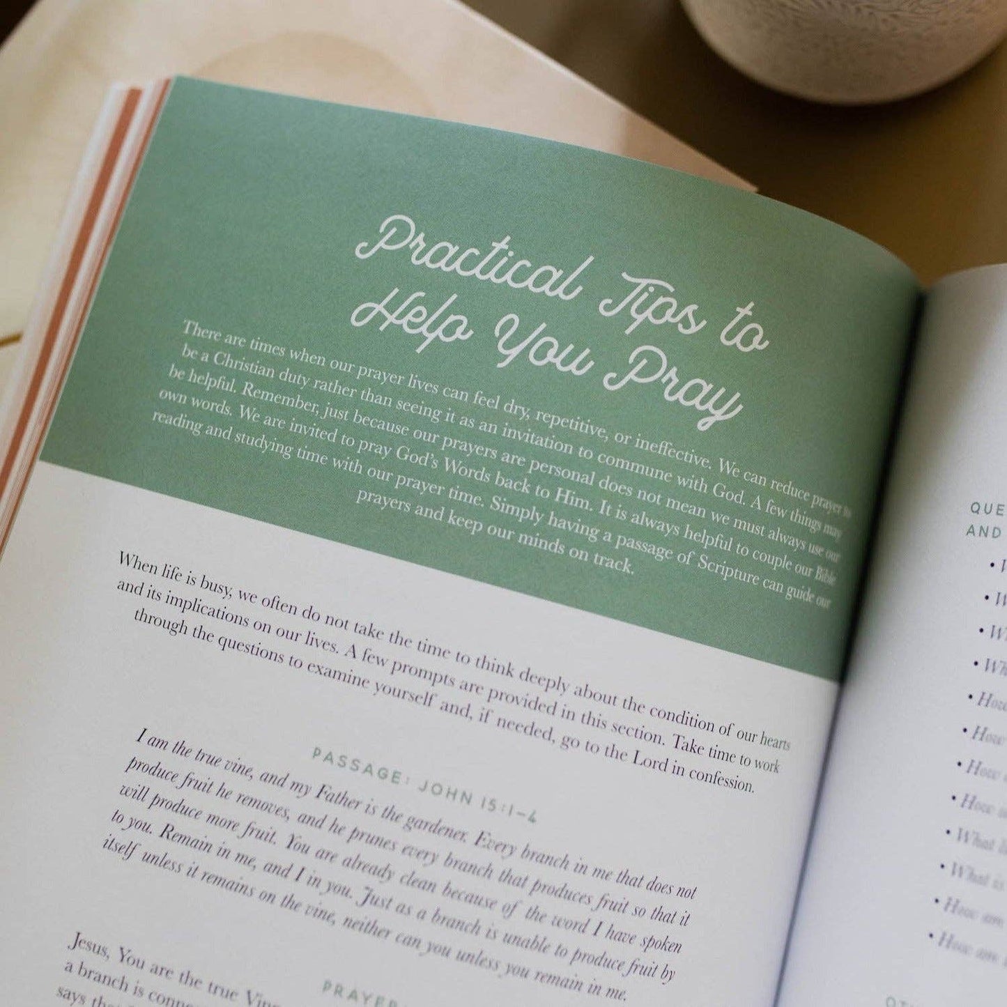 Growing in Grace | Spiritual Disciplines Study The Daily Grace Co