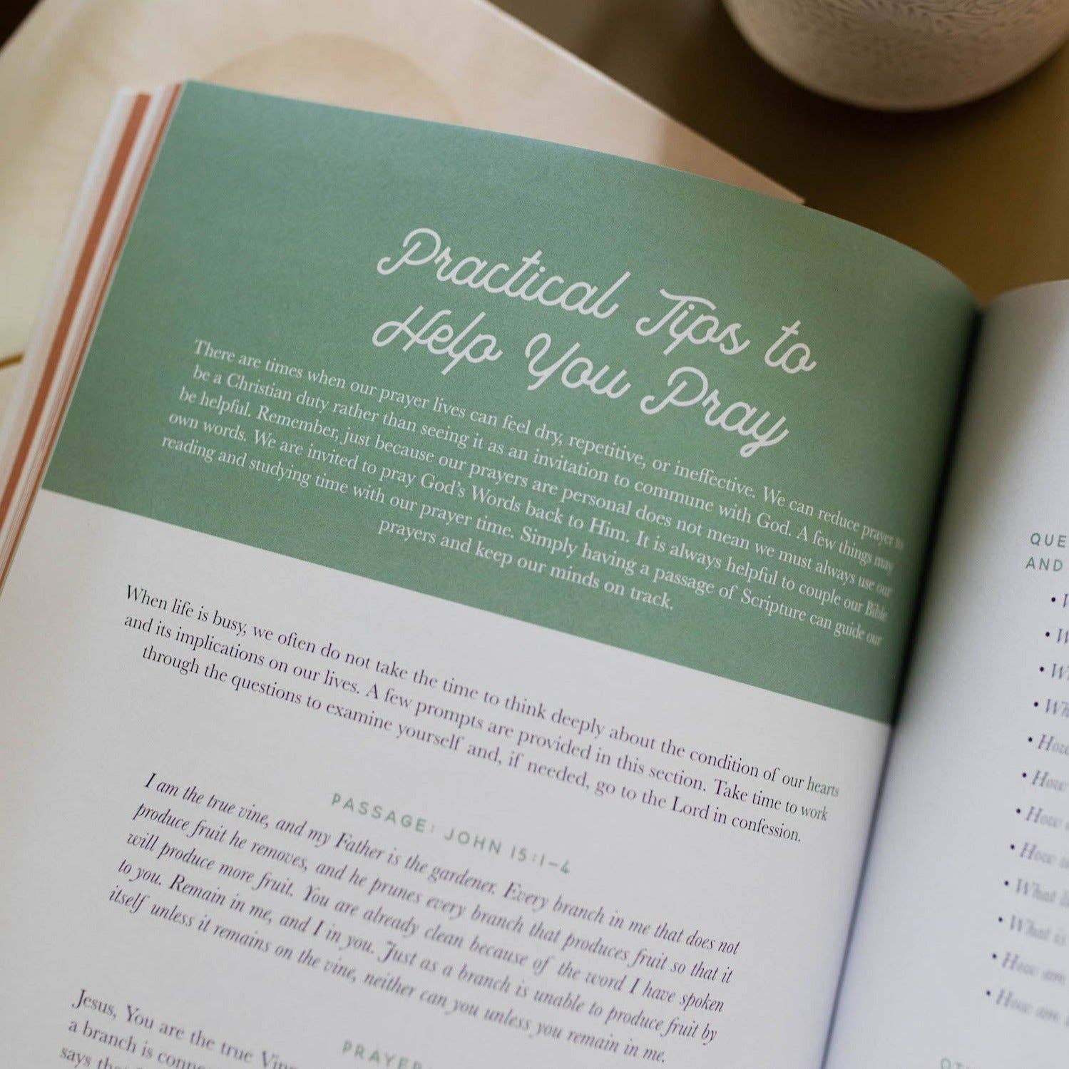 Growing in Grace | Spiritual Disciplines Study The Daily Grace Co