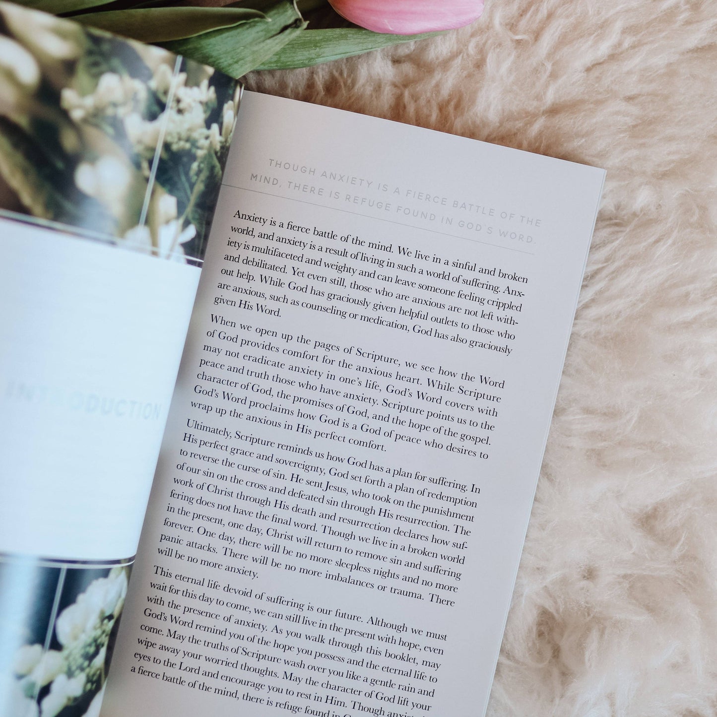 Meditations for Anxiety Booklet The Daily Grace Co