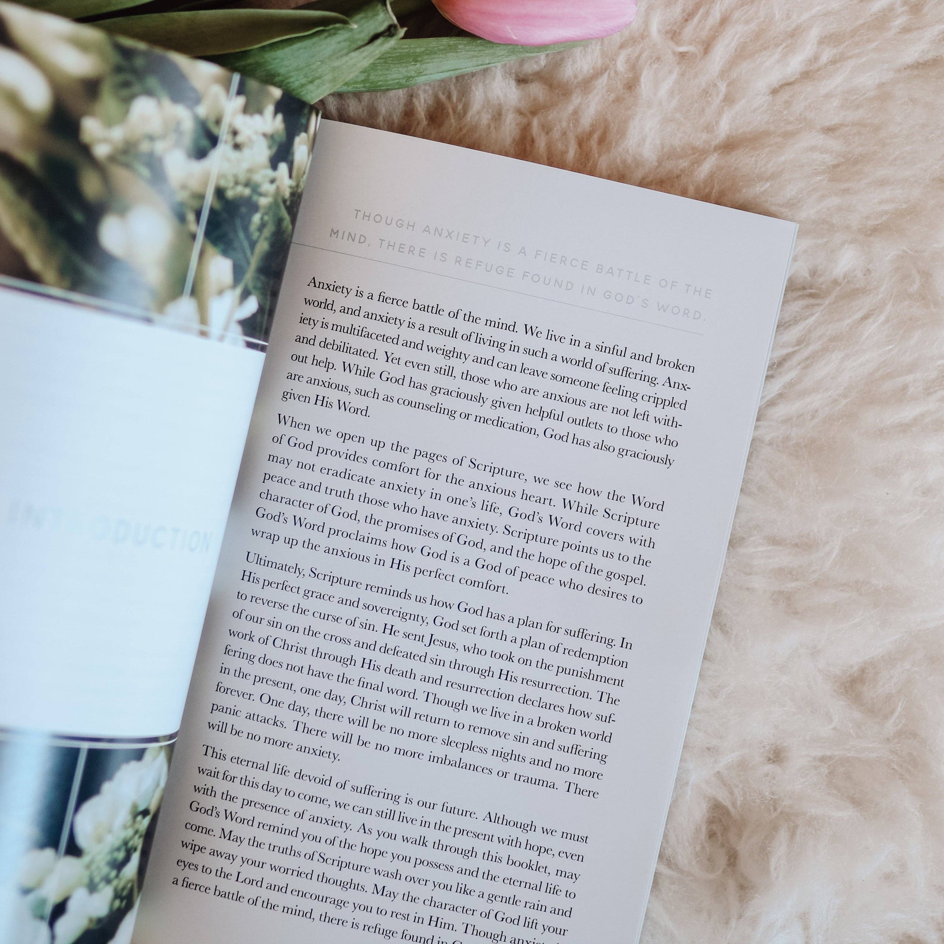 Meditations for Anxiety Booklet The Daily Grace Co