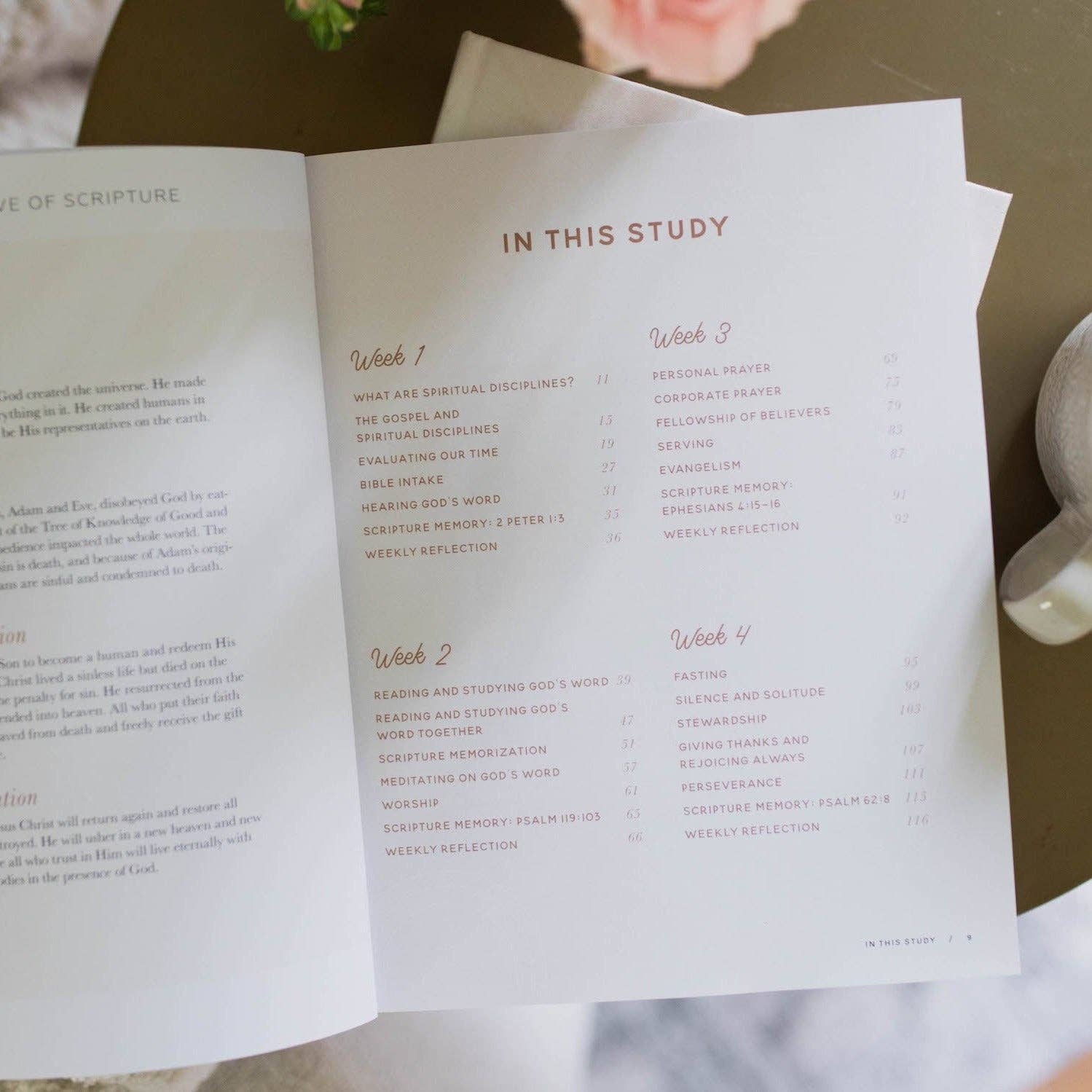 Growing in Grace | Spiritual Disciplines Study The Daily Grace Co