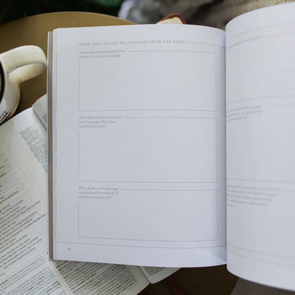 Peace for the Anxious Heart The Daily Grace Co