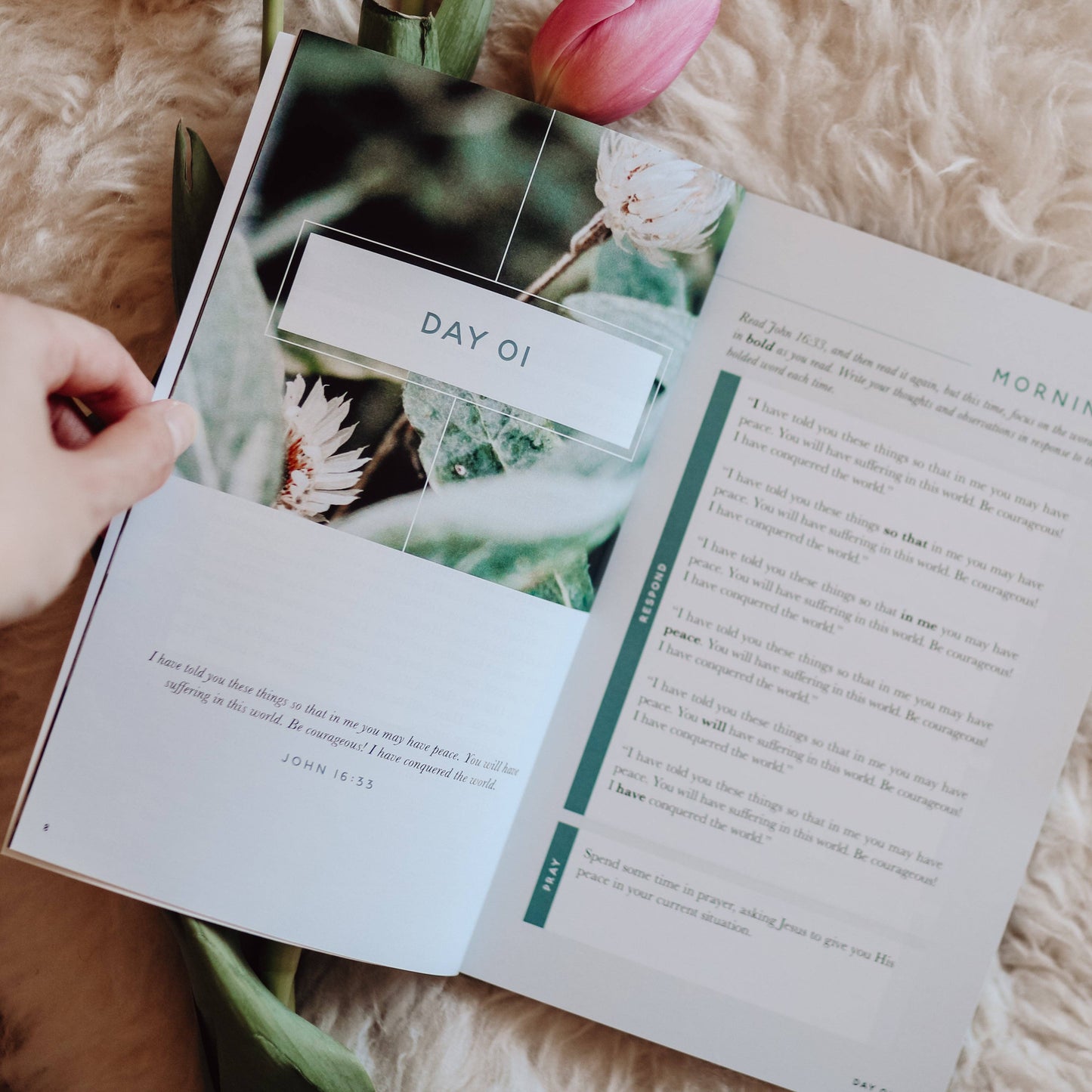 Meditations for Anxiety Booklet The Daily Grace Co