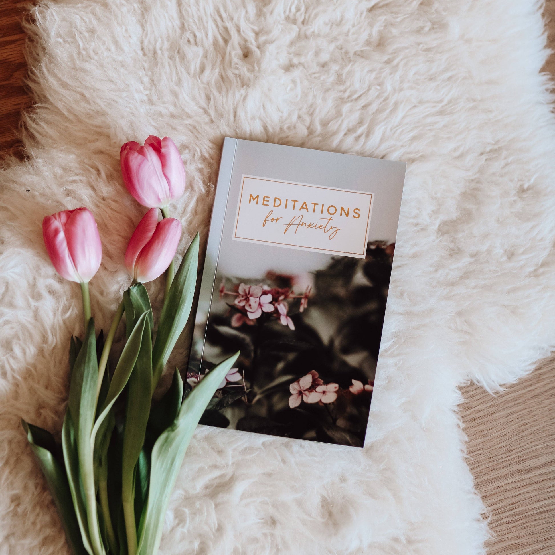 Meditations for Anxiety Booklet The Daily Grace Co