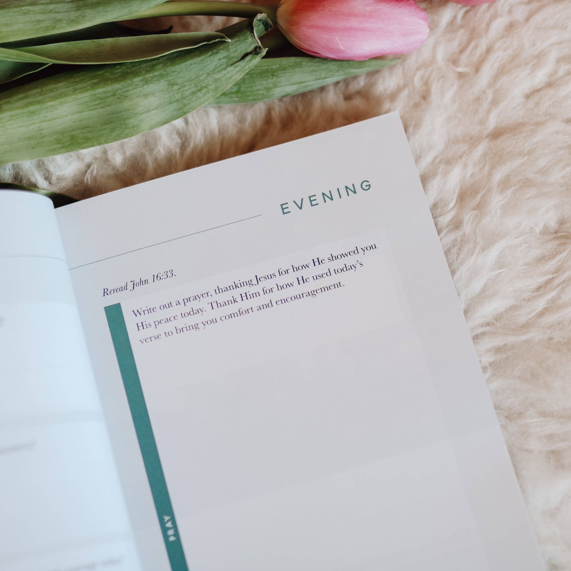 Meditations for Anxiety Booklet The Daily Grace Co