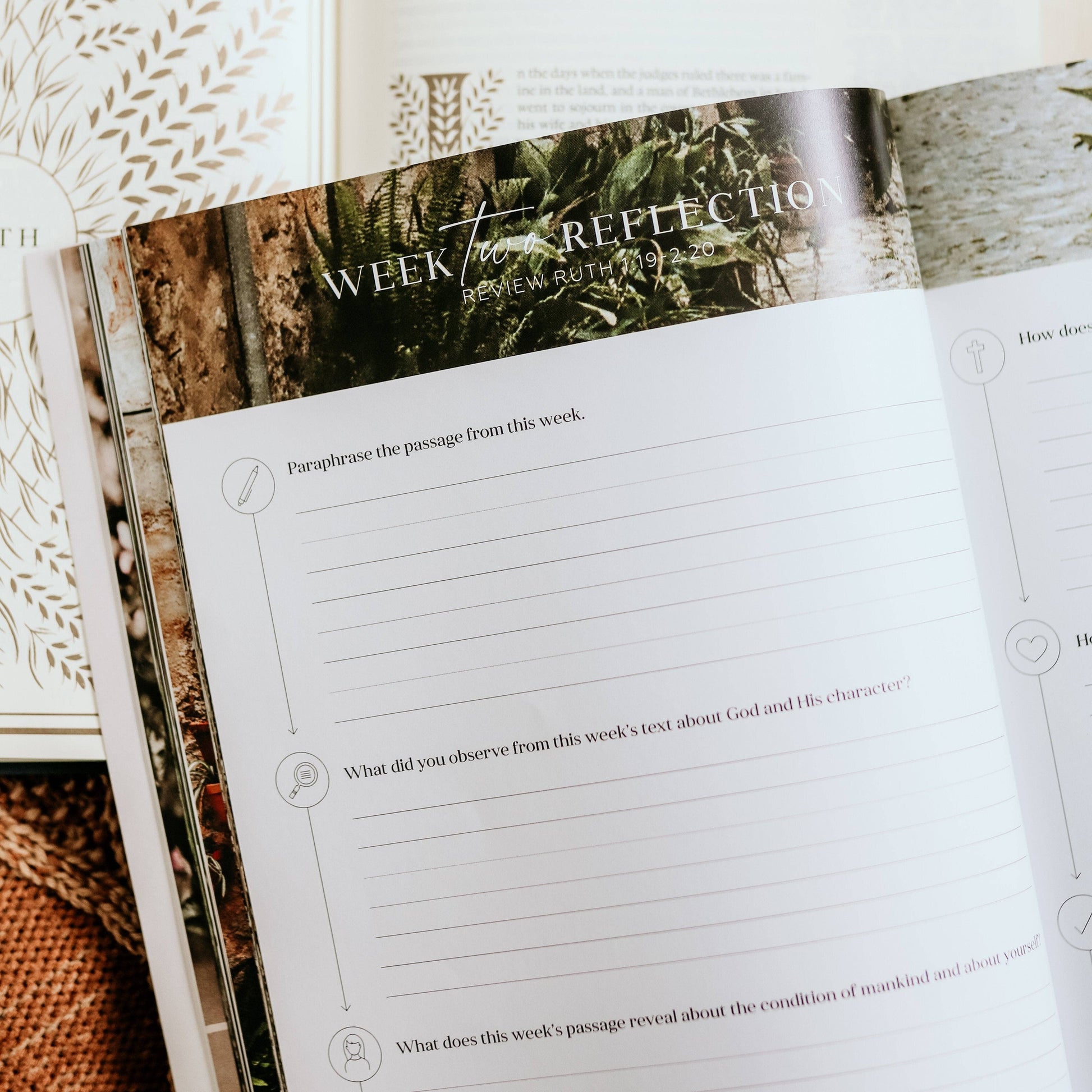 Ruth Study | Fields of Grace The Daily Grace Co