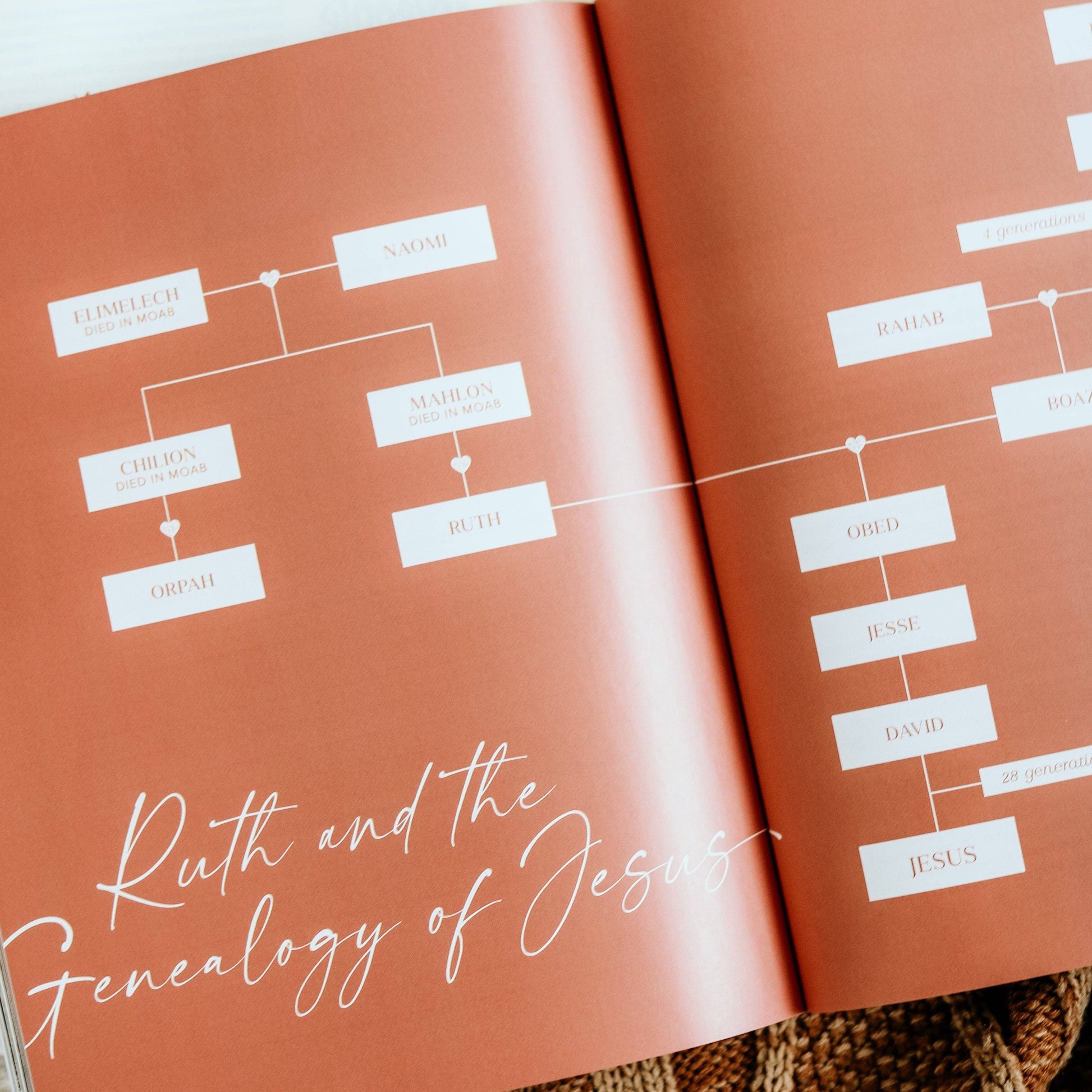 Ruth Study | Fields of Grace The Daily Grace Co