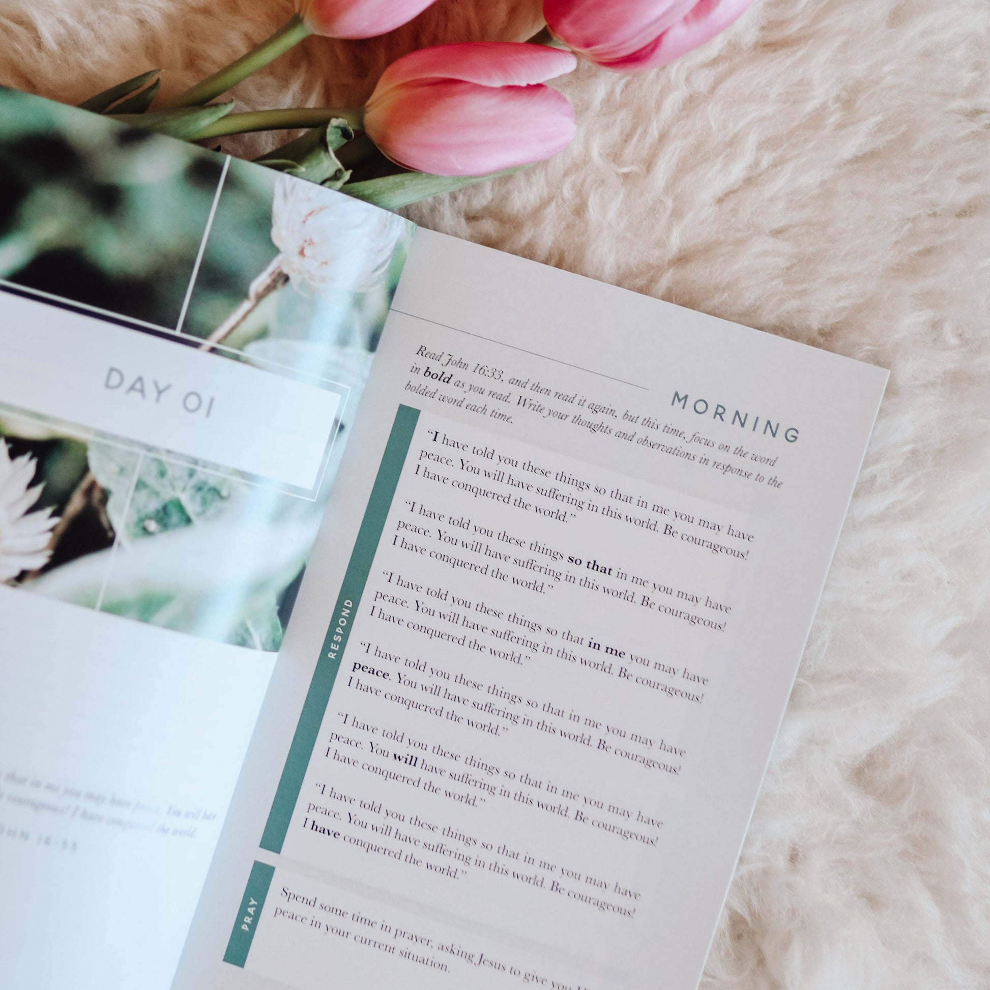 Meditations for Anxiety Booklet The Daily Grace Co