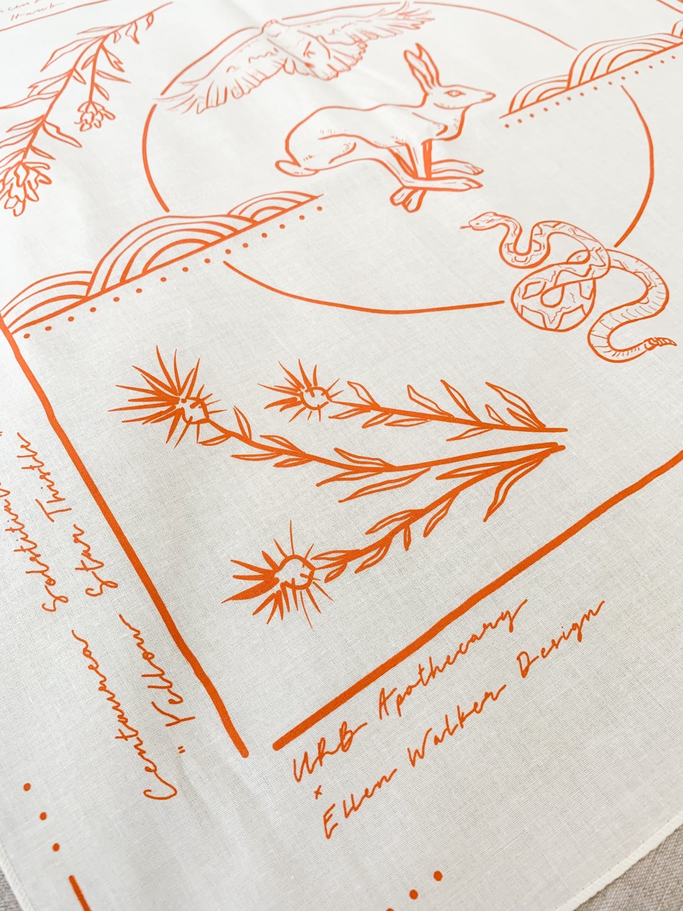 Field Guide Collaborative Bandana URB APOTHECARY