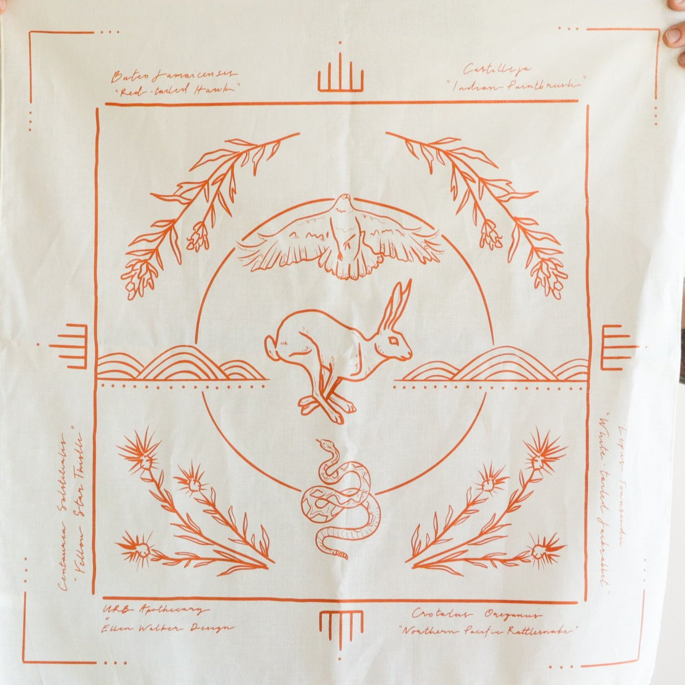 Field Guide Collaborative Bandana URB APOTHECARY