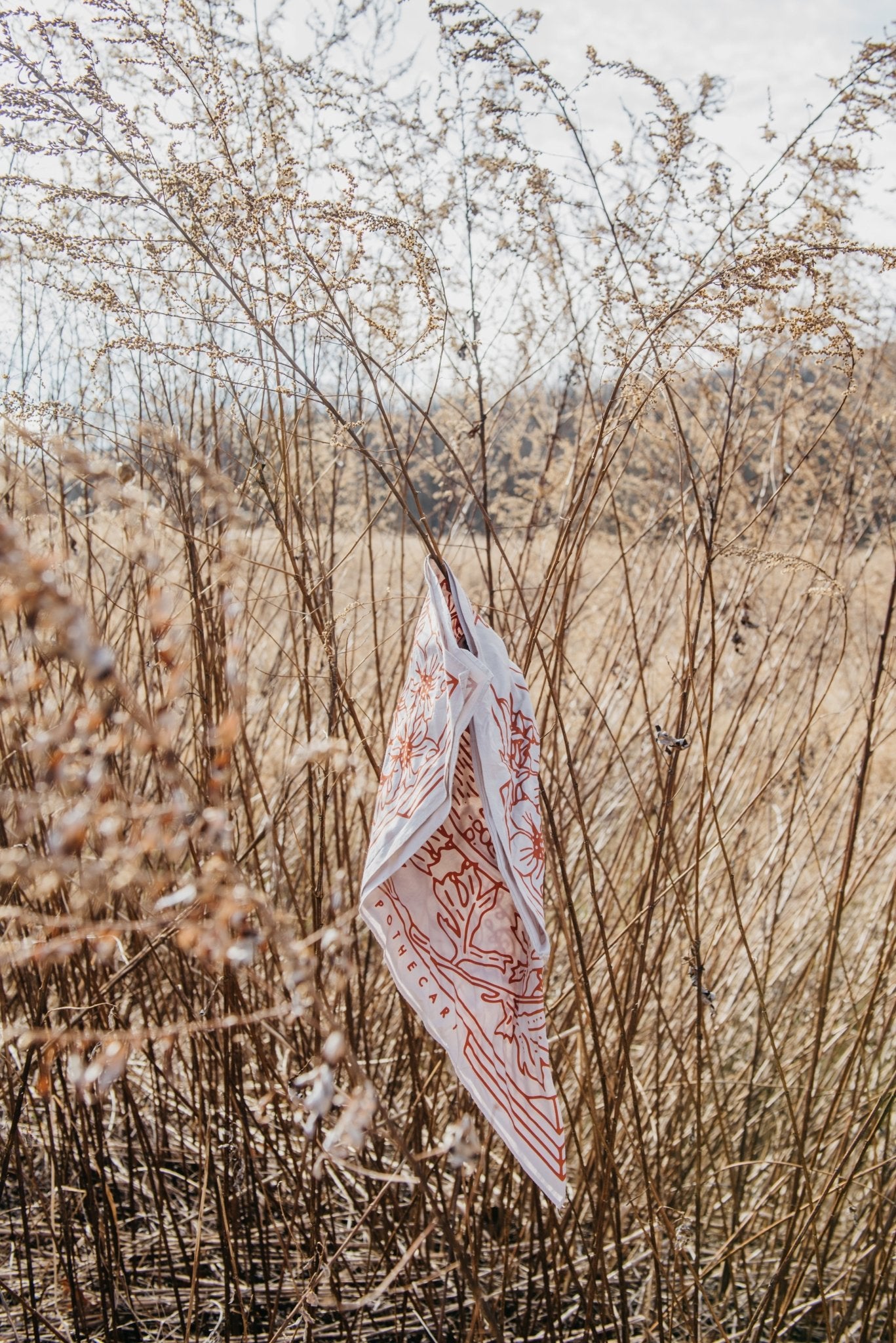 Yuba Bandana - 926 West